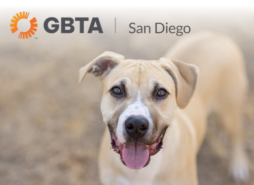 GBTA San Diego: Lunch for Love