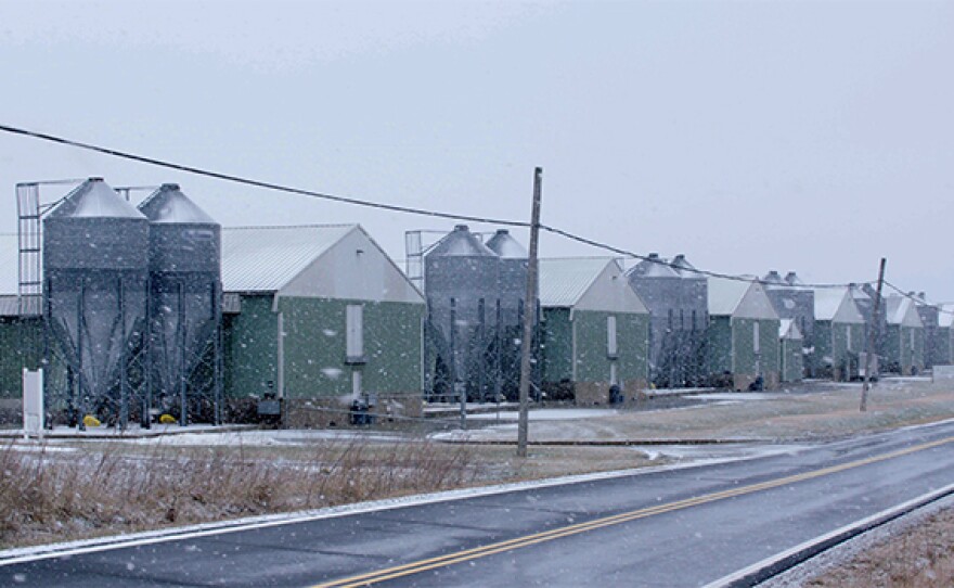 An egg farm in central Ohio. In "Trafficked In America," FRONTLINE and the Investigative Reporting Program at UC Berkeley tell the inside story of Guatemalan teens forced to work against their will on an egg farm in Ohio.