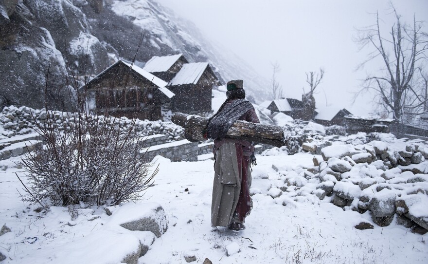 A Kinnaura tribal woman in a village in Himachal Pradesh, a state in India's Himalayan highlands, carries a log for a home fire.