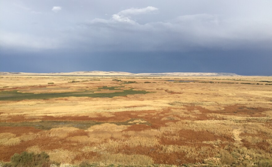 First protected by President Theodore Roosevelt, the Malheur National Wildlife Refuge is one of the most important migratory bird corridors on the U.S. West Coast. Its lush grasses and wetlands are also important for local cattle ranchers.