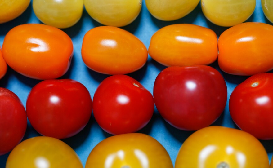 Canadian tomatoes grown in greenhouses