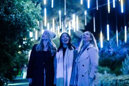 Lightscape Returns to San Diego Botanic Garden