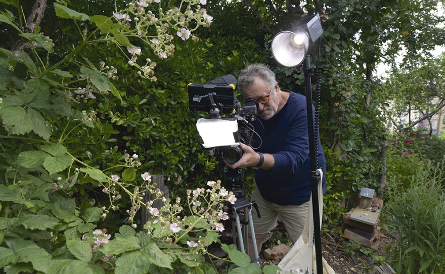 nature my garden of a thousand bees kpbs public media