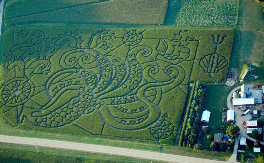 Treinen Farm's 2013 Kraken maze was full of lots of "tenterrific" places to get lost.