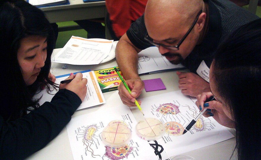 Science teachers huddle over bacteria colonies at Chicago's Museum of Science and Industry. The museum plans to train 1,000 area educators to be better science teachers in the next five years.