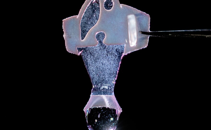 This synthetic fish is powered by human heart cells. Scientists say that they could help lead the way toward building replacement hearts from human tissue.