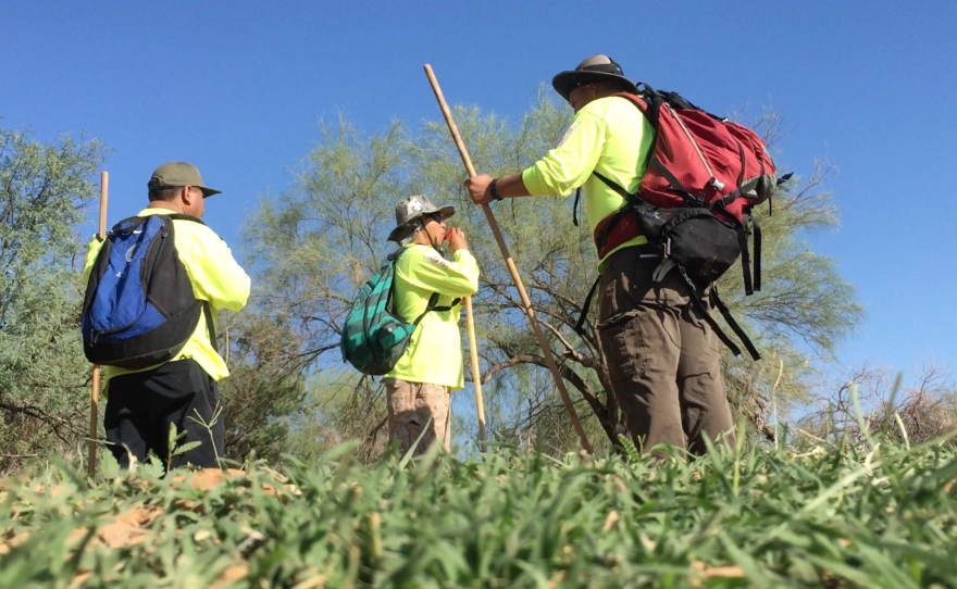 A volunteer for Aguilas del Desierto blow a whistle in the Arizona desert, Sept. 3, 2016.