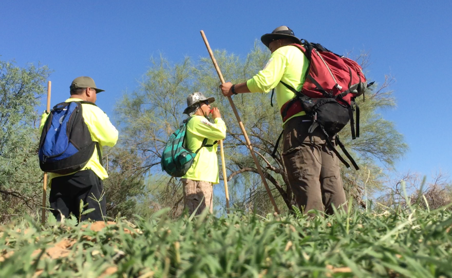 A volunteer for Aguilas del Desierto blow a whistle in the Arizona desert, Sept. 3, 2016. 