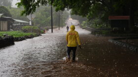 Fire Captain Lui Sales of the Hawaii Fire Department looks for residents to help as rainwater from nearby Hurricane Nolo flood a section of Mamalahoa highway Saturday, Sept. 26, 2026, near Naalehu, Hawaii.