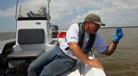 Environmental Protection Agency contractor Andy Kallus collects water samples for testing on May 31, 2010 near the point where the South Pass of the Mississippi River meets the Gulf of Mexico near Venice, Louisiana.
