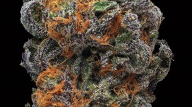 GDP (Granddaddy Purple). Smell/taste: grape, creamy, berry. Common effects: euphoria, relaxed, body buzz. Top medicinal uses: appetite and pain.