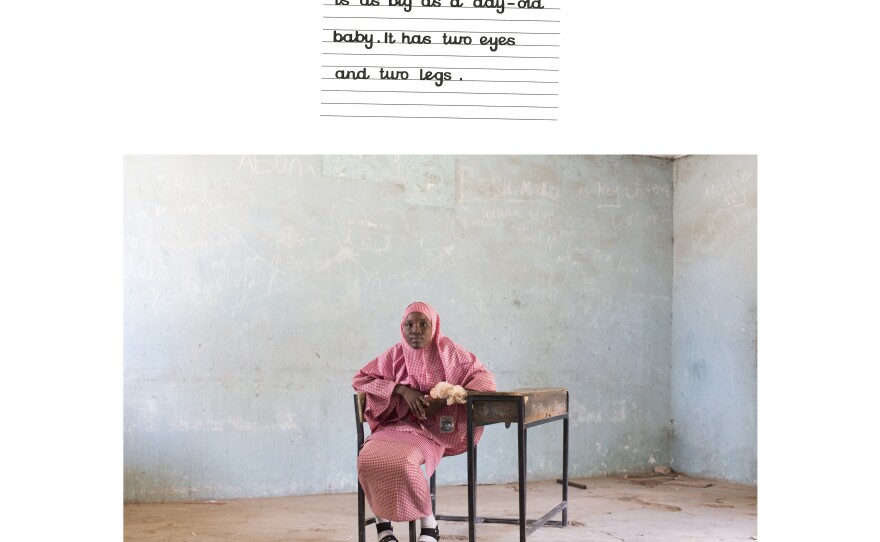 "There were bombs all the time, and gunshots; sometimes I don't sleep when I remember some things," said Hadiza Alhaji Bukar, a 17-year-old student at Shehu Sanda Kyarimi.