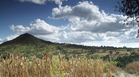 The hill Teoton, surrounded by fertile fields, Puebla-Tlaxcala Valley, Mexico. Narrated by actor Memo Sauceda, "Mystery Of The Mountain: Hidden In Plain View" chronicles a most intriguing and remarkable story, and explores the question: what if one of the world's largest pyramids is waiting to be unearthed in Mexico?