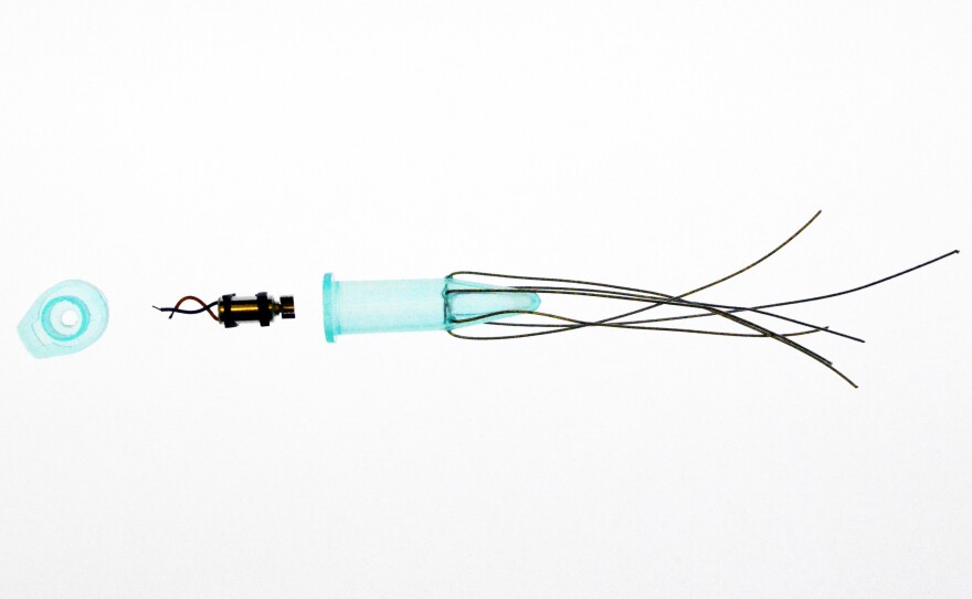 Sex Toys For Flowers (2): A close up on one of the flower toys, which Keats said he made from cell phone vibrators. According to the exhibit's caption, "these botanical sex toys can be battery- or solar powered."