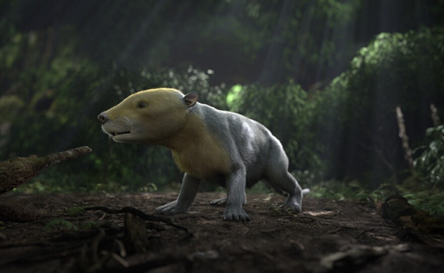 CGI rendering of ancient Taeniolabis mammal taken from the PBS NOVA special, "Rise Of The Mammals."