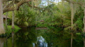 The Everglades is unlike any other place on Earth – a vast, shimmering river of grass, alive with mystery, beauty and resilience.
