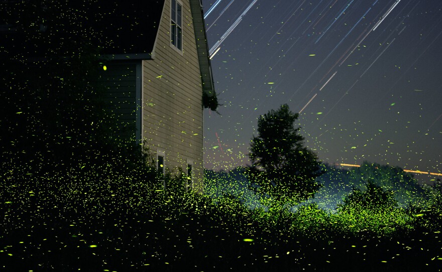Fireflies in the yard of an unoccupied home in June outside Viewmont, N.Y. "I have been photographing this house, on and off, day and night, for about 25 years," Mauney said.