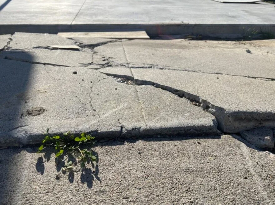 A damaged and lifted piece of sidewalk outside of a Paradise Hills home is shown in this undated photos.