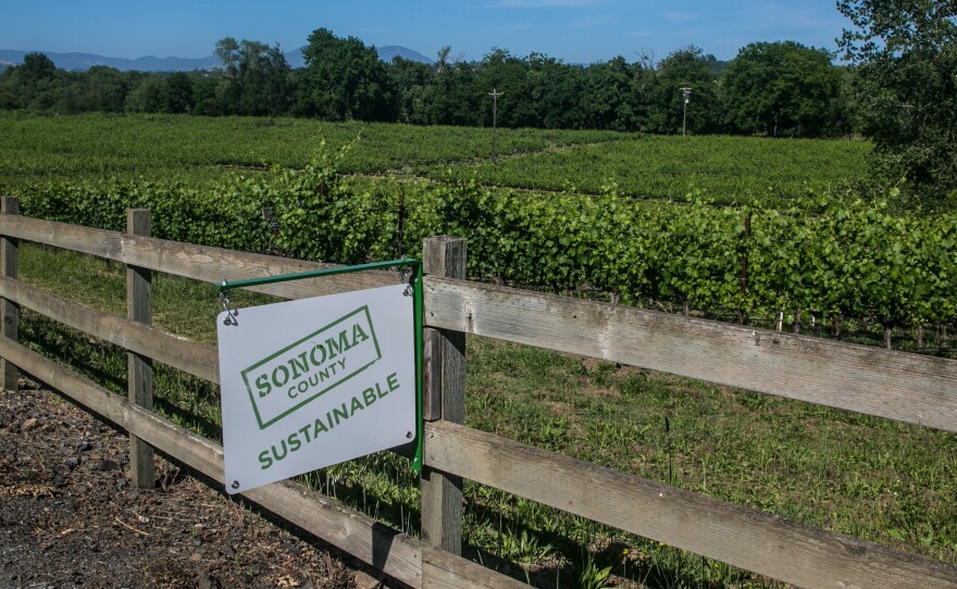 A "Sonoma Sustainable" sign hangs along a road in the Russian River Valley near Healdsburg, Calif.