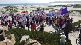 Demonstrators with Indivisible San Diego gather in front of Hotel Del Coronado to protest the Republican National Committee Spring Meeting, May 11, 2017. 