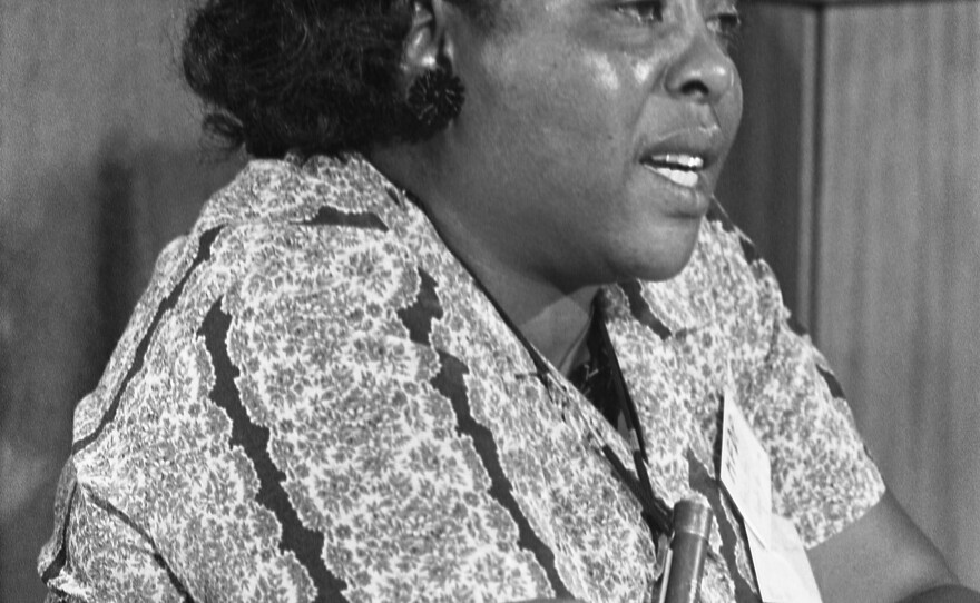 Fannie Lou Hamer, the famed voting rights activist from Mississippi, pictured here in 1964, also became what we would call a "food sovereignty" activist.