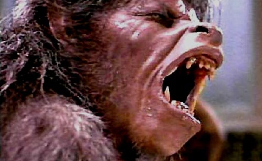 "An American Werewolf in London"