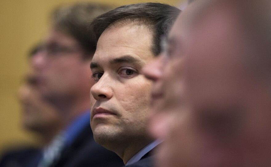 Sen. Marco Rubio, R-Fla., has to figure out how he stands out in what's likely to be a crowded Republican primary.
