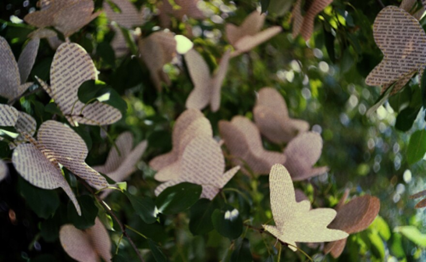 Cheryl_Sorg_butterflies.jpg
