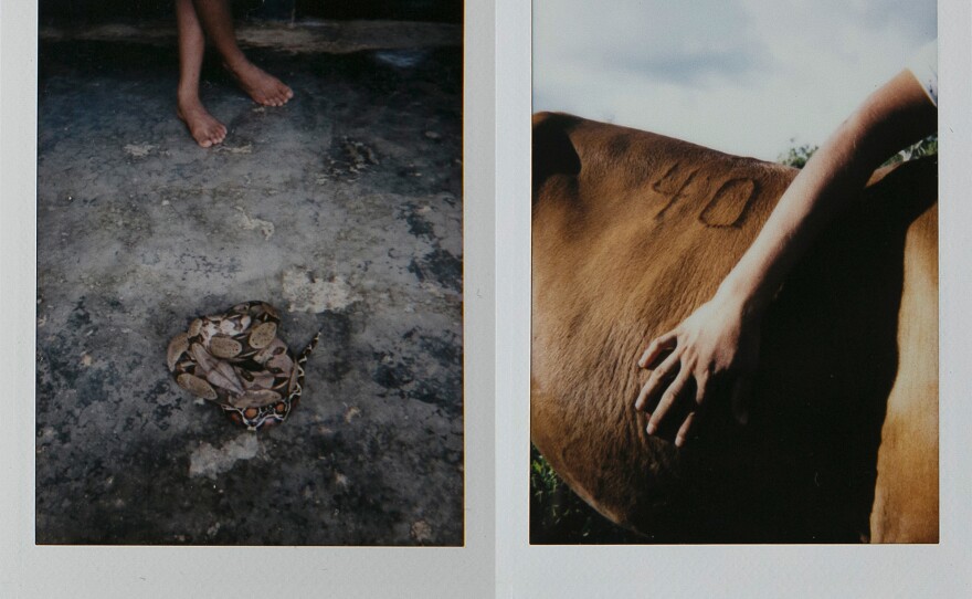 Left: A girl stands in front of a snake found in her house in Zabaleta. Families live surrounded by snakes, rats and all types of insects. Right: A man touches one of his horses outside his home by the Zabaleta River.