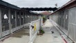 On June 3, 2025, a group of people meet the dogs housed in the outdoor kennels on the right.