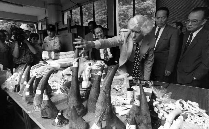 Esmond Martin, a United Nations special envoy, inspects confiscated rhino horns, elephant tusks and ivory objects at the Taipei Zoo in Taiwan before the illegal goods were incinerated publicly to demonstrate the government's commitment to protecting wildlife in 1993.