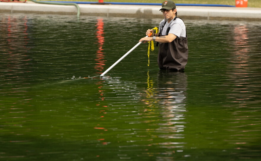 A National Park Service employee uses a vacuum to clean the Lincoln Memorial Reflecting Pool. (AP Photo/Mark Schiefelbein)