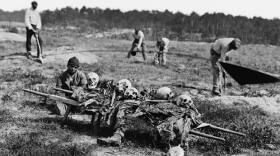 African Americans collecting bones of soldiers killed in the battle of Cold Harbor in Virginia one year earlier, April 1865.