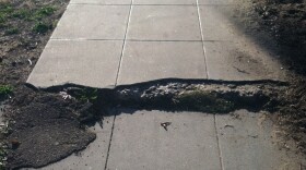 A sidewalk in the 1800 block of Pacific Beach Drive in the city of San Diego.