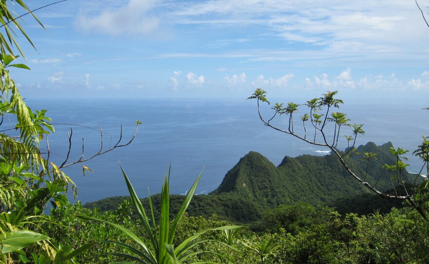 A view of the lush Samoan vegetation in American Samoa, Tutuila Island.