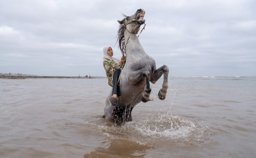 Ghita Jhiate manages her unruly stallion. Long forbidden by her father to participate in the traditional riding event known as Tbourida, she finally realized her dream of riding alongside pioneer Zahia Aboulait in 2025. Sidi Rahal, Morocco. August 6, 2025.
