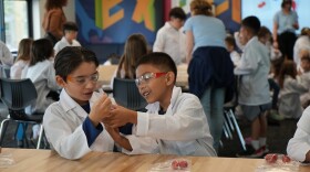 Students at Nipaquay Elementary School in Mission Valley worked on an experiment to extract DNA from strawberries, Tuesday, San Diego, Calif., April 25, 2023. 