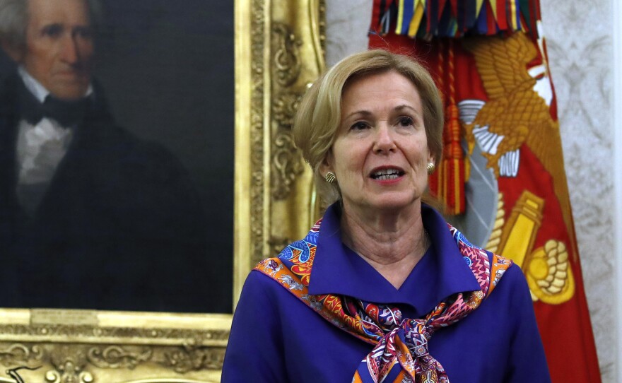 Coronavirus task force coordinator, Dr. Deborah Birx, told Fox News Sunday demonstrators could be inadvertently jeopardizing family members. She also encouraged continued social distancing as states began to re-open.