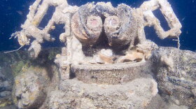 Underwater image of the USS Lagarto, a WWII U.S. Navy submarine, the first found since the war ended. Missing for more than 60 years, Lagarto and her crew of 86 men vanished during war patrol in the Pacific in 1945.