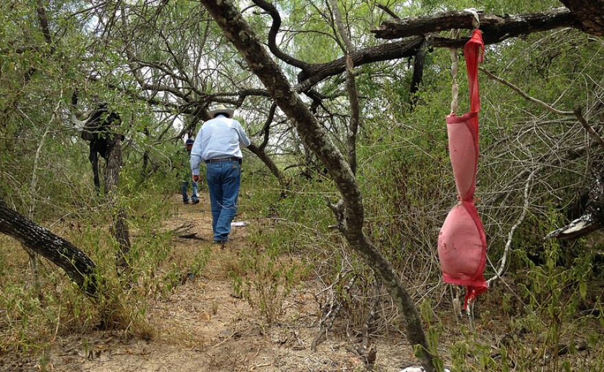 Migrant Deaths Challenge South Texas