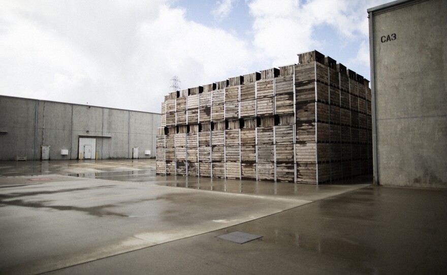 Cold storage (left) and empty garlic bins at the plant.