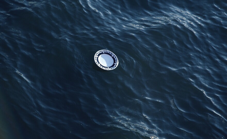 A dinner plate floats in New York City's East River. "It said something about just getting swept away and belongings being flooded," says Wist. But it also implied "us persevering... and eating dinner despite that."