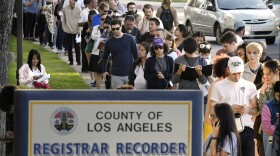 In this Nov. 6, 2018 file photo potential voters wait in long lines to register and vote at the Los Angeles County Registrar's office in Los Angeles.
