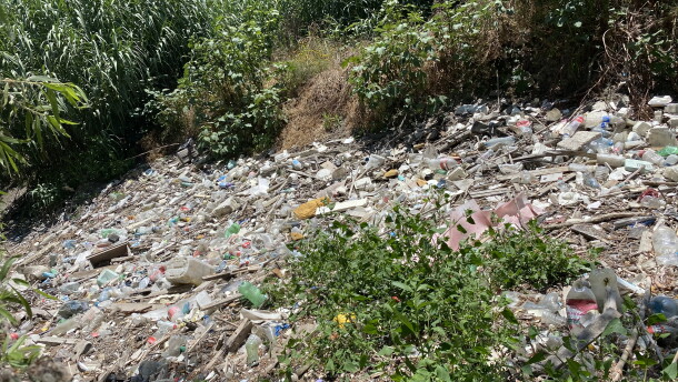 Trash that's been washed into the Tijuana River Estuary. Undated photograph. 
