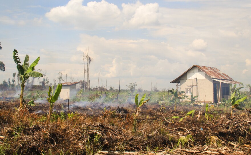 Smoke rises from smoldering fires on peat land in the village of Punggur Kecil, West Kalimantan Province. Despite being illegal, clearing peat land by fire remains widespread in Indonesia, as it is the cheapest way to clear land for agriculture and industry.