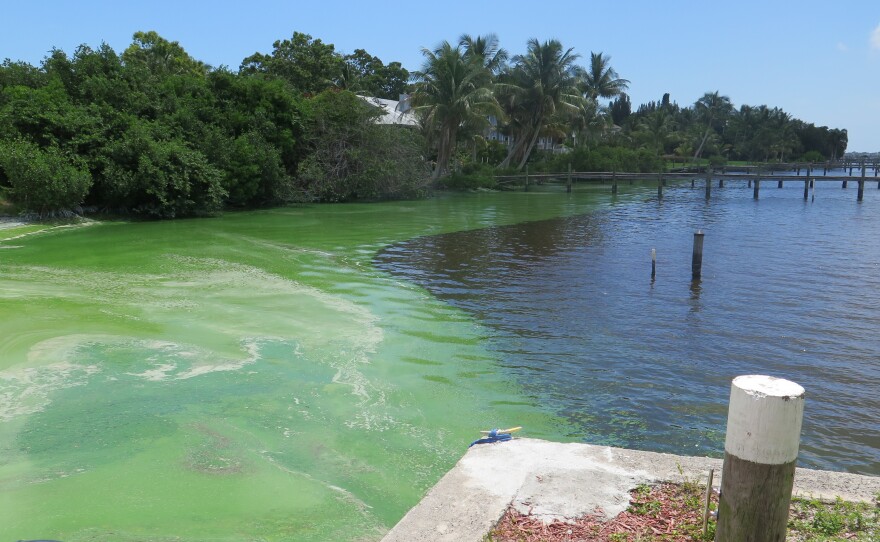 Florida Gov. Rick Scott has asked President Obama to declare a federal emergency and make federal emergency funds available to deal with the algae bloom.