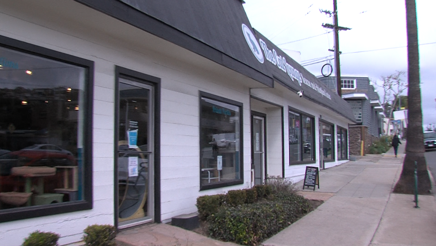 The front of the Cat Lounge Rescue and Adoption Center in La Jolla is shown on Feb. 11, 2025.