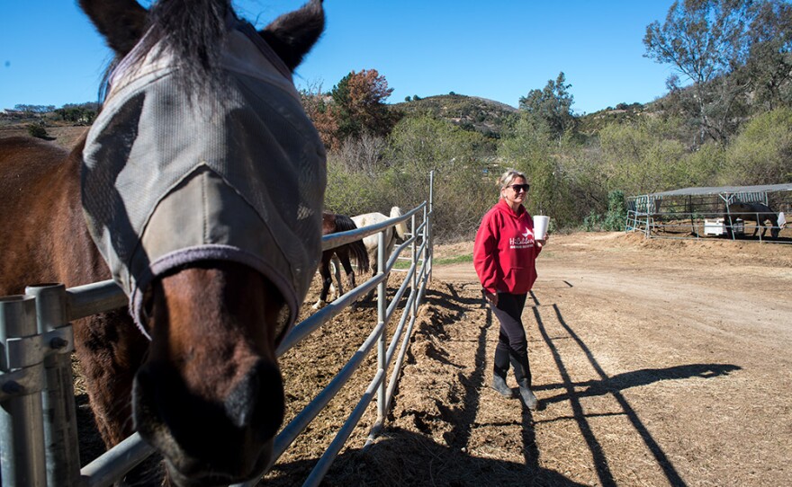 HiCaliber Horse Rescue board member Robyn Armstrong walks the property, Feb. 28, 2018.