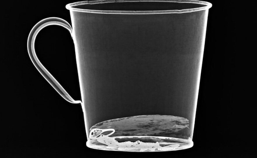 An X-ray reveals the jewelry concealed behind the false bottom, which separated from the mug after more than 70 years.