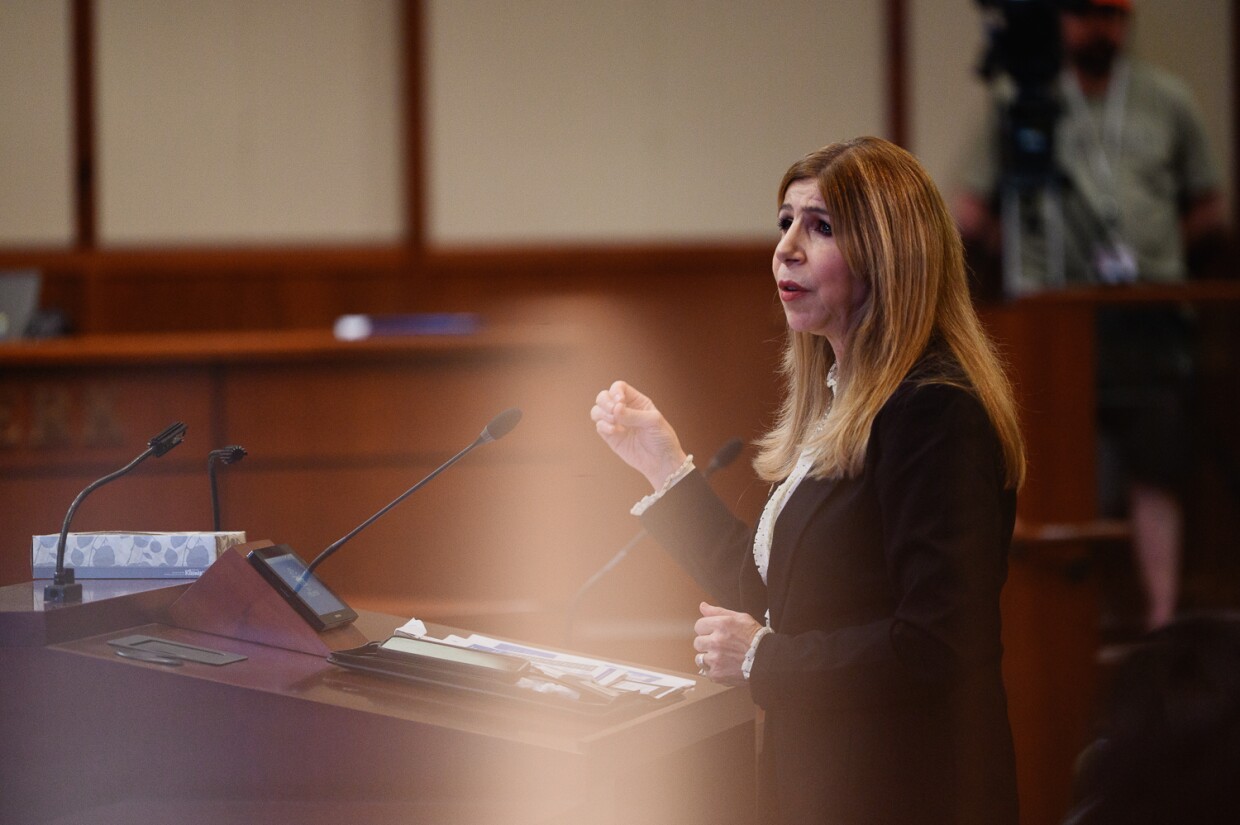 San Diego County District Attorney Summer Stephen addresses the Chula Vista City Council during a public hearing on homelessness on Jan. 16, 2024.